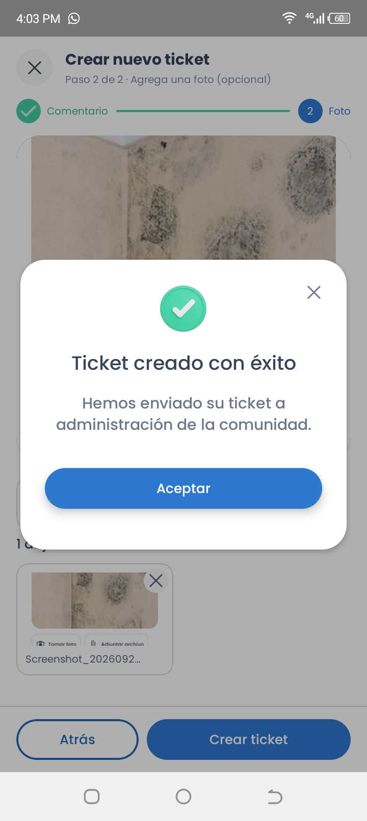 Paso 6